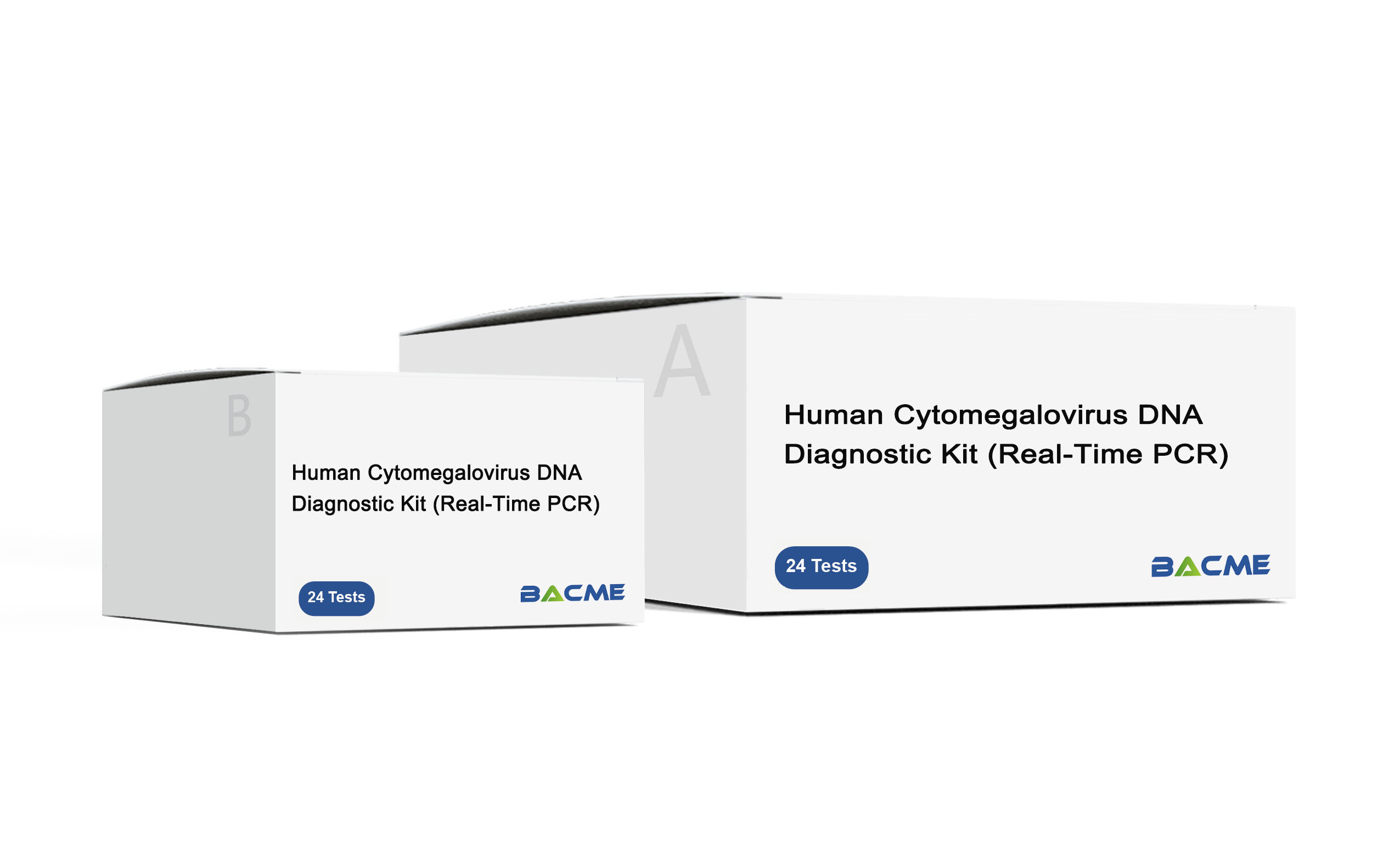 Human Cytomegalovirus DNA Diagnostic Kit (Real-Time PCR)